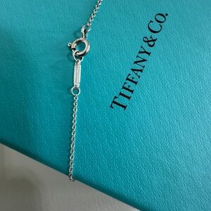 ✨ Authentic Tiffany & Co. Sterling Silver 18” Small Link Chain ✨